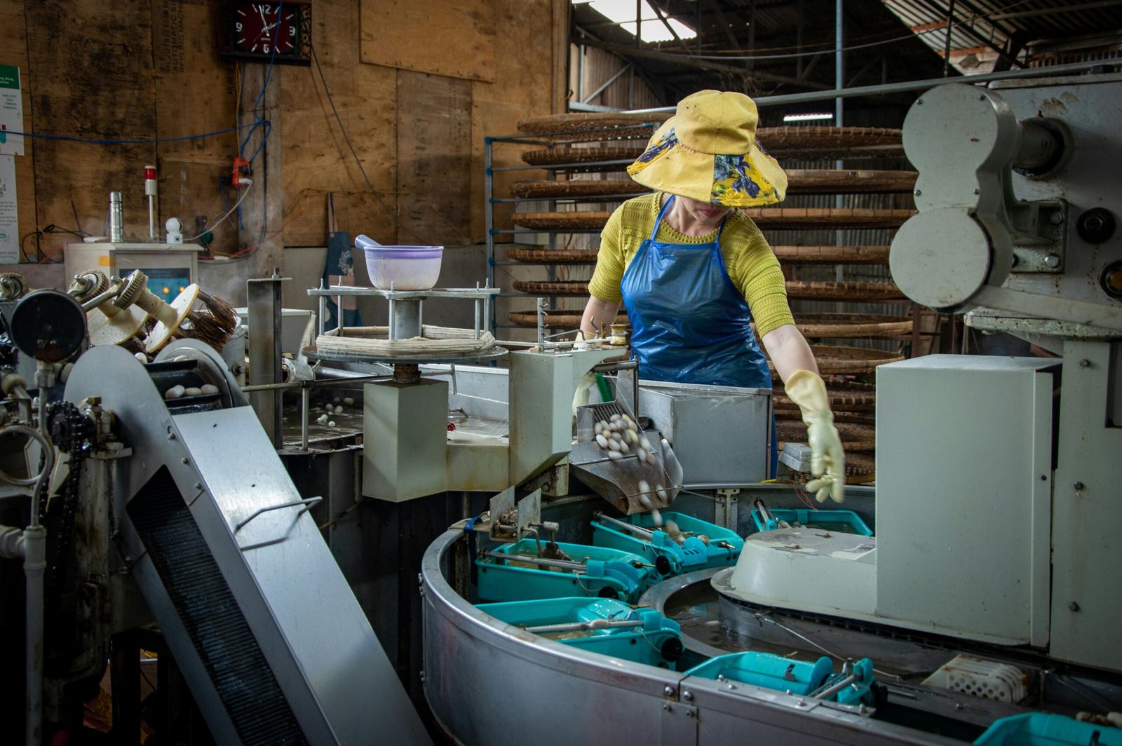 Woman in an apron and hat operates machinery on a production line in a factory setting.